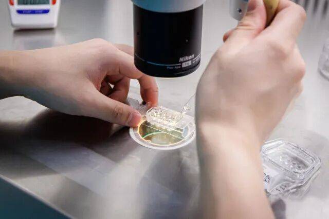 皇冠信用盘会员开户
_一婴儿出生就15岁皇冠信用盘会员开户
！被称为“最老婴儿”